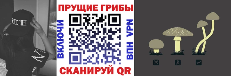 Псилоцибиновые грибы прущие грибы  Североморск 